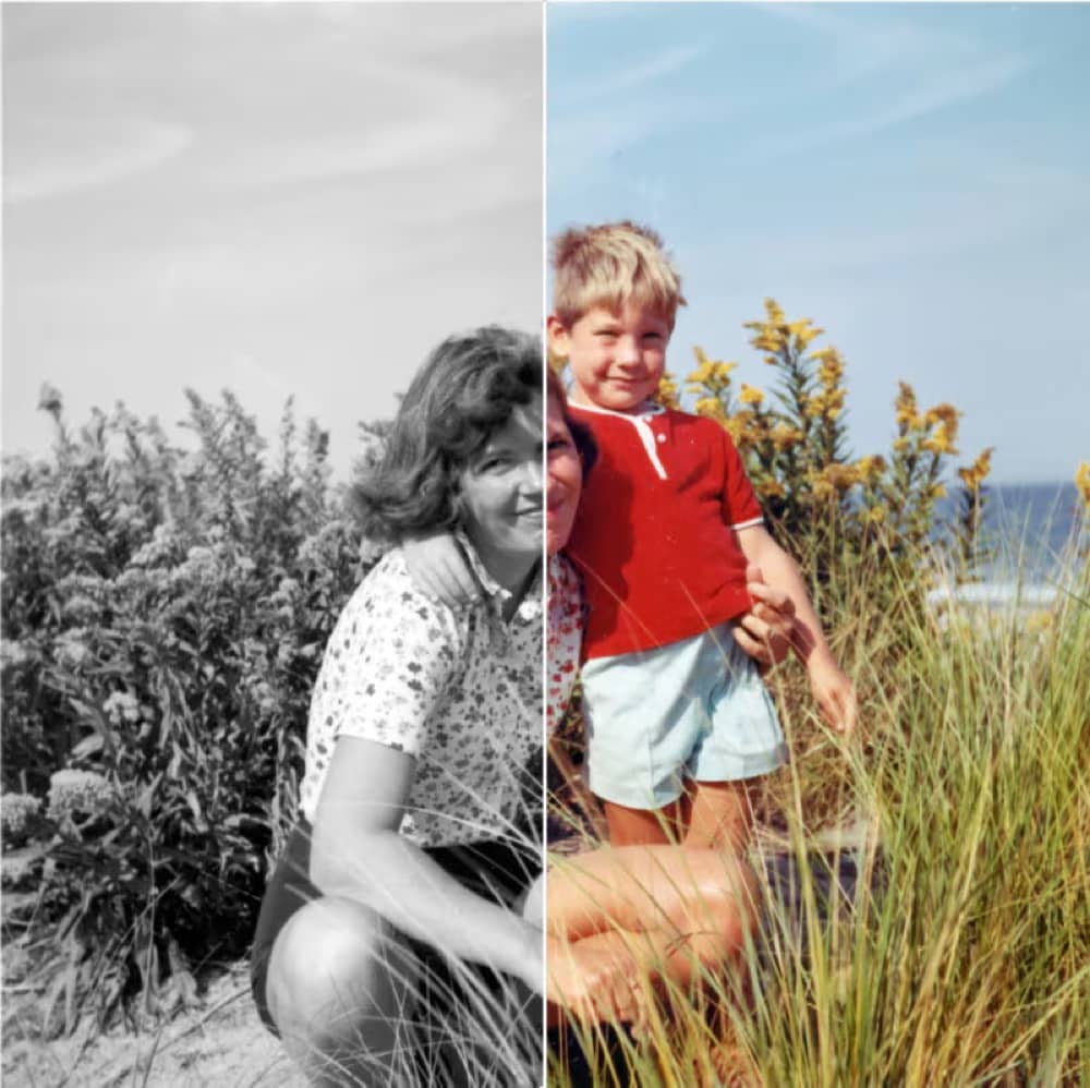 Illustration of a black and white photograph being restored to full colour by a neural network.